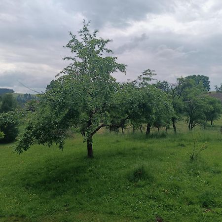 Chalupa u Kuby Vysoke nad Jizerou Bagian luar foto