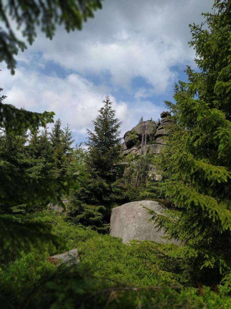 Chalupa u Kuby Vysoke nad Jizerou Bagian luar foto
